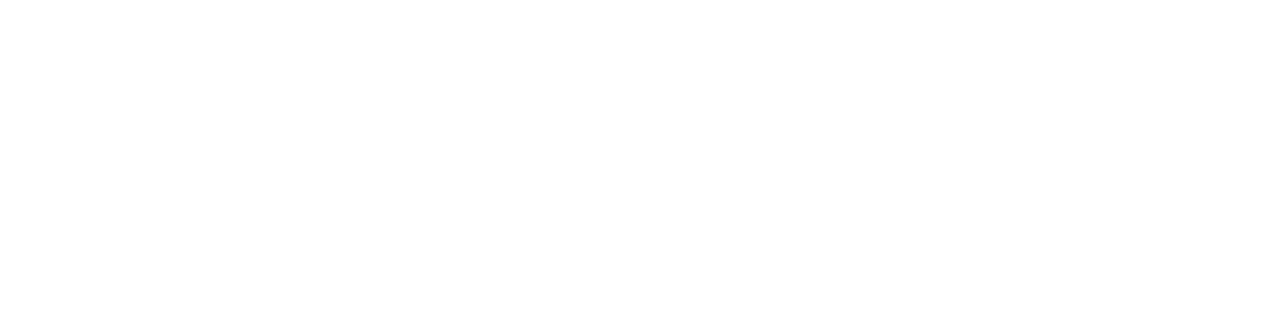 Insurance Partners